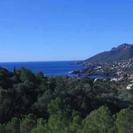 Apartment Cote D'azur - - Miramar *